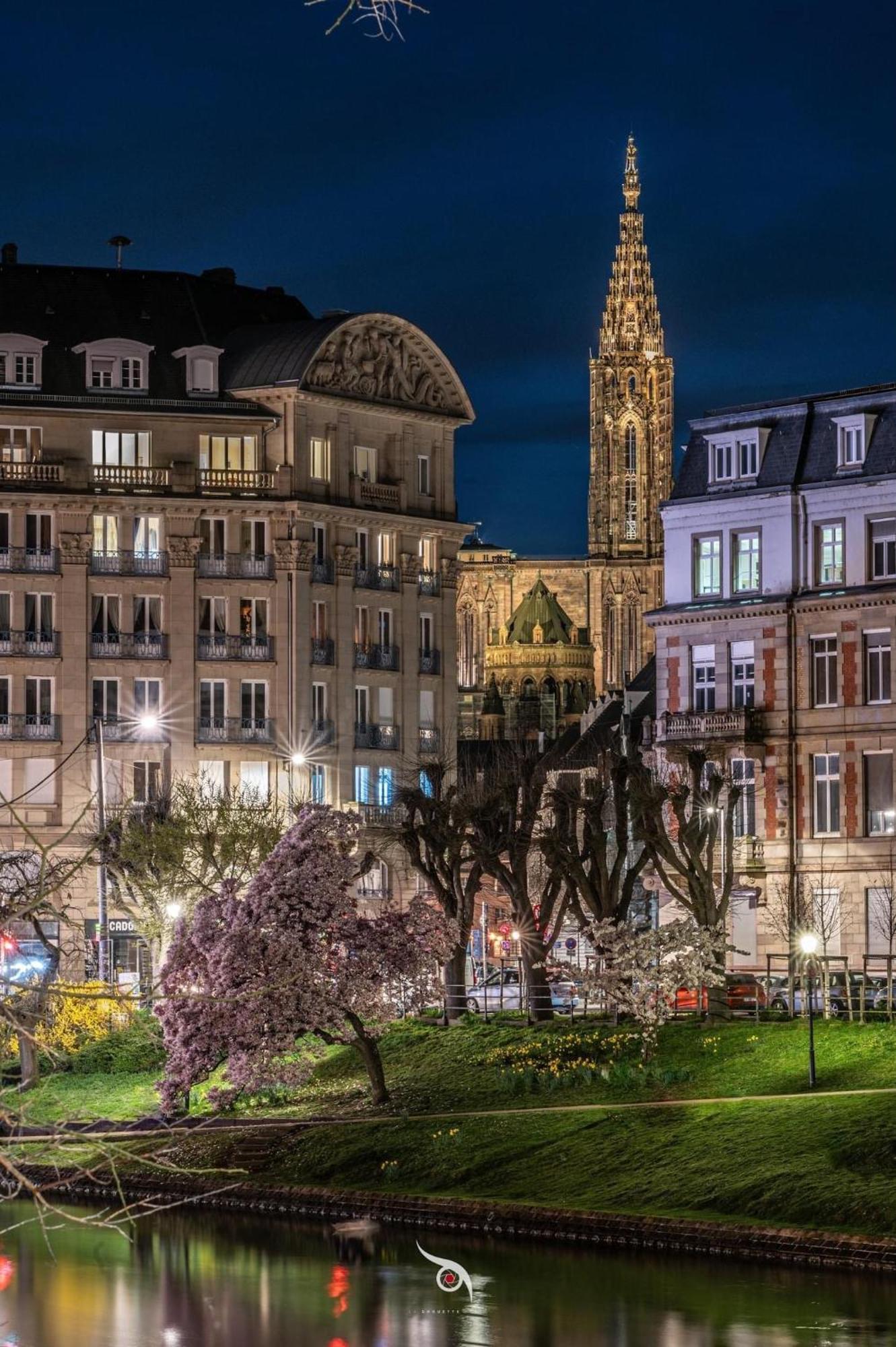 Appart & Studio Hyper Centre De Strasbourg - Proche Cathedrale & Petite France Εξωτερικό φωτογραφία