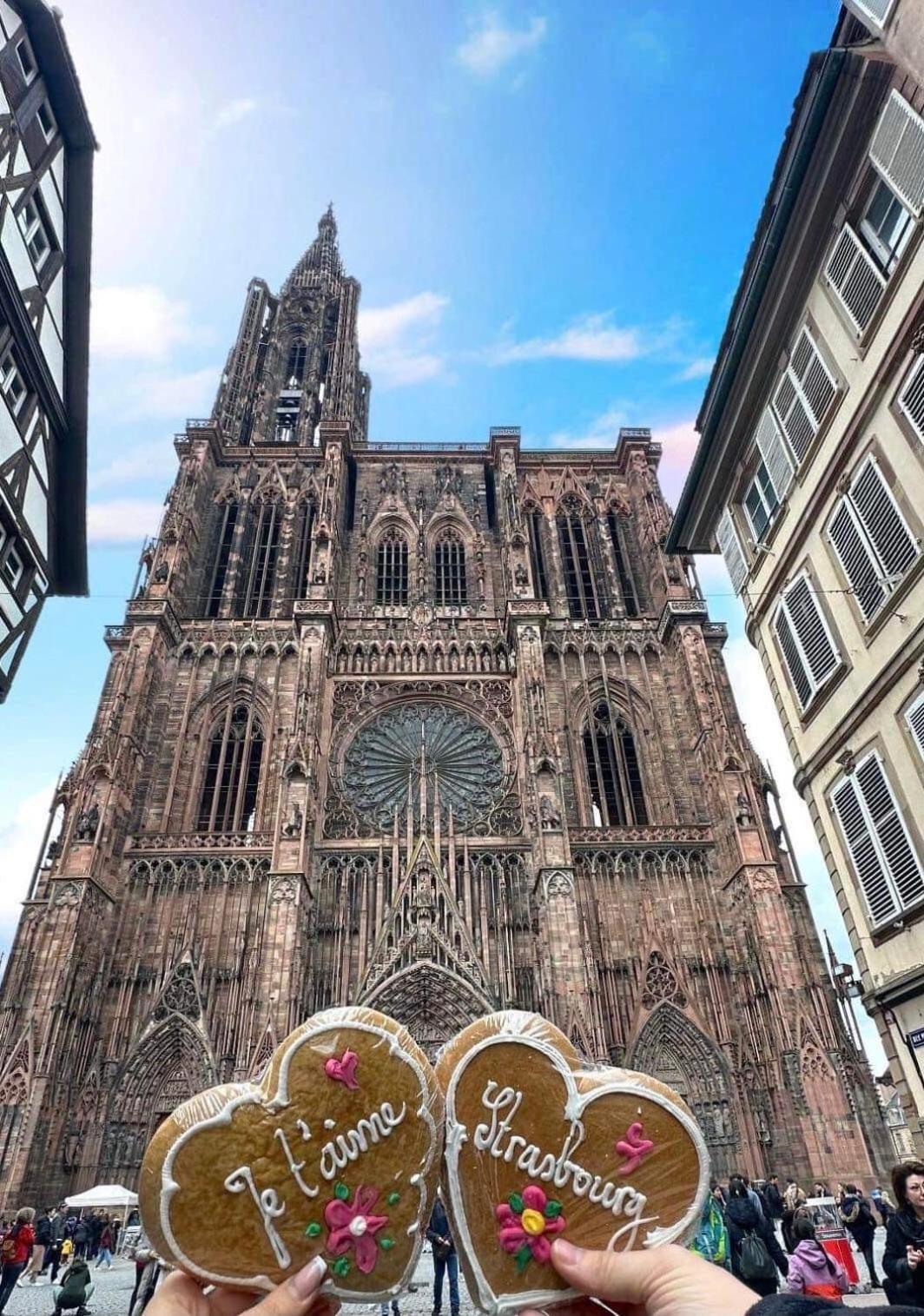 Appart & Studio Hyper Centre De Strasbourg - Proche Cathedrale & Petite France Εξωτερικό φωτογραφία