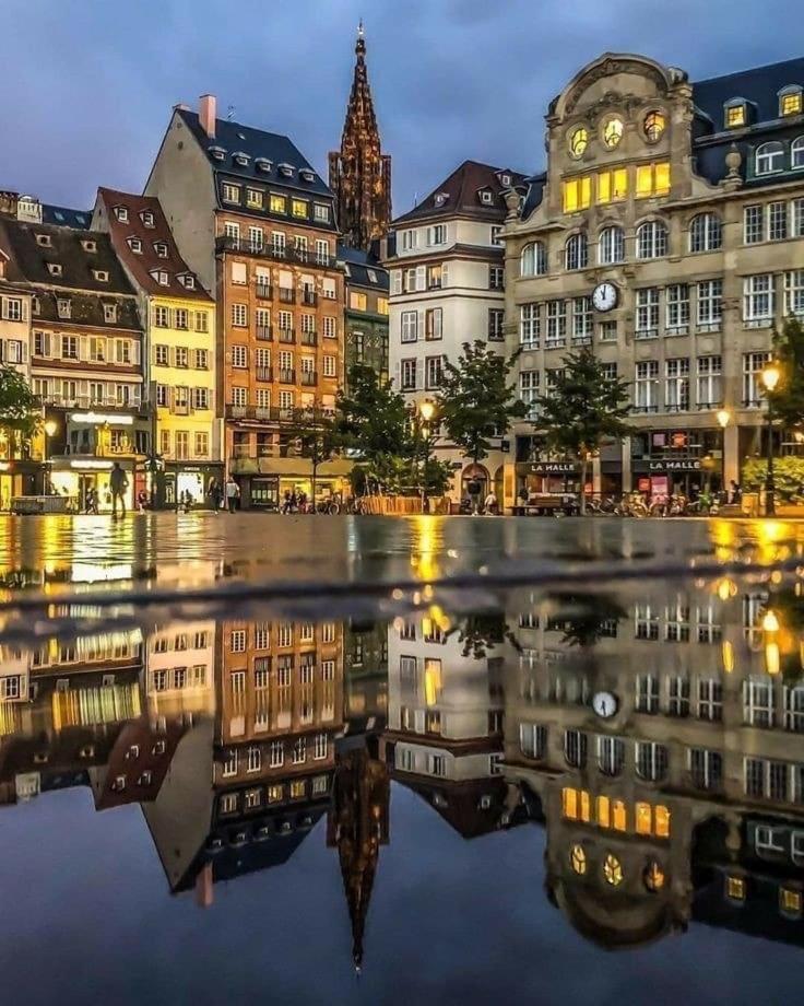 Appart & Studio Hyper Centre De Strasbourg - Proche Cathedrale & Petite France Εξωτερικό φωτογραφία