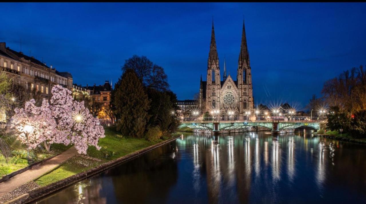 Appart & Studio Hyper Centre De Strasbourg - Proche Cathedrale & Petite France Εξωτερικό φωτογραφία